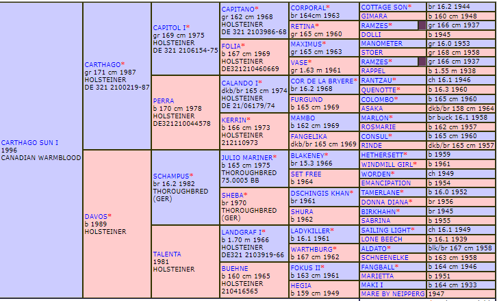 Carthago Sun I Pedigree