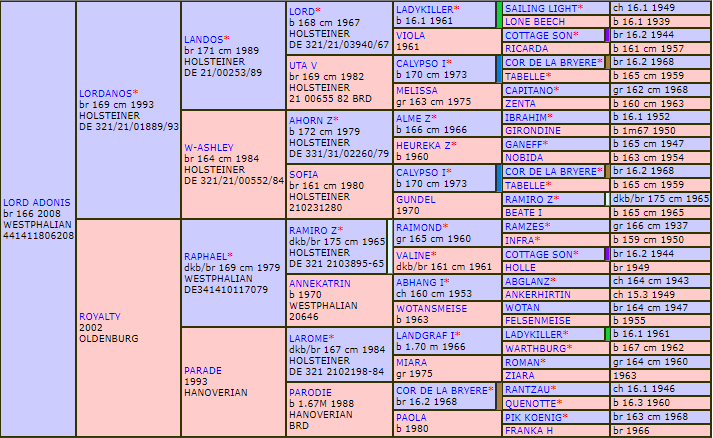 Lord Adonis Pedigree 2