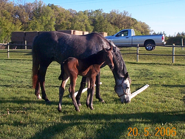 Donna Lisa &amp; Tatiana_03