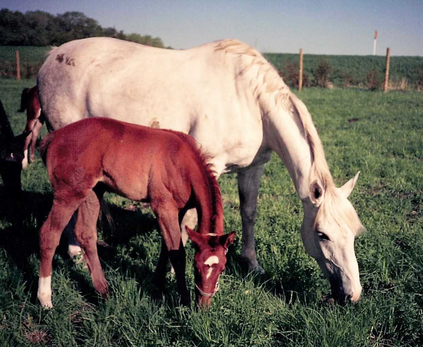 Felicitas und Natascha 1993 small