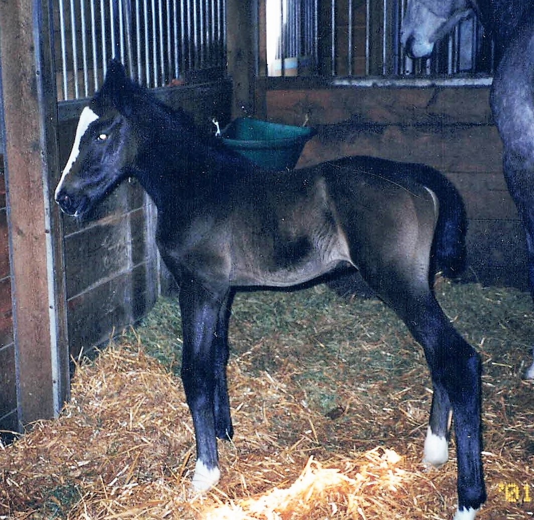 Trixie und Wendy 2001 small